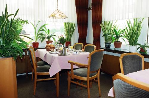 埃姆登Hotel Delfthalle的用餐室配有桌椅和植物