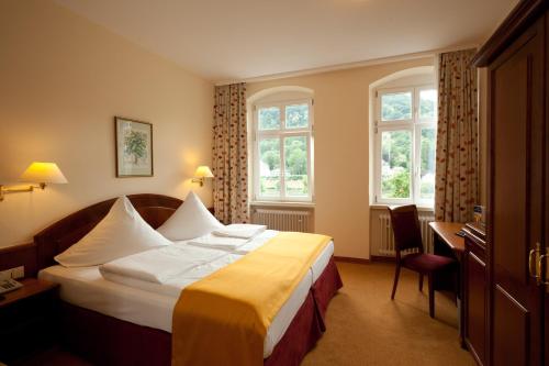 海德堡海德尔堡 城市伙伴酒店的酒店客房设有一张床和两个窗户。