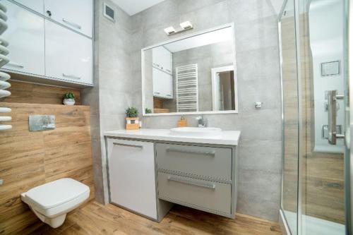 比得哥什Apartament Gdańska的一间带水槽、卫生间和淋浴的浴室