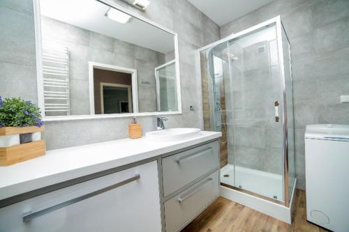 比得哥什Apartament Gdańska的一间带水槽、淋浴和镜子的浴室