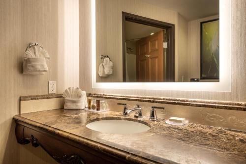 艾尔斯海豹滩酒店的一间浴室