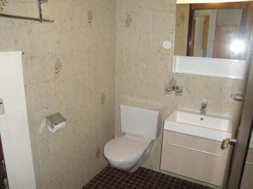 塔什Monte Rosa D 412的一间带卫生间和水槽的浴室