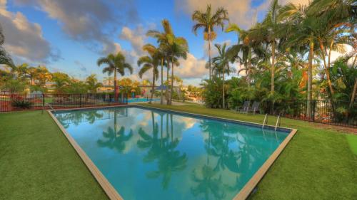 麦凯Discovery Parks - Mackay的公园内种有棕榈树的大型游泳池