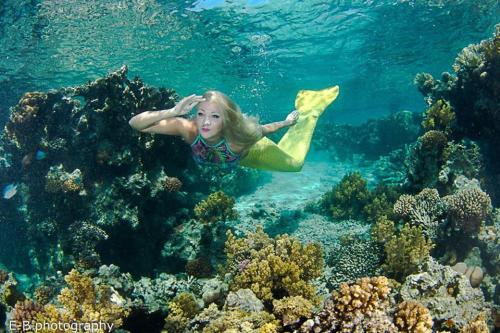 马萨阿拉姆Deep south Eco-lodge的穿着美人鱼服装的女孩在珊瑚礁上游泳