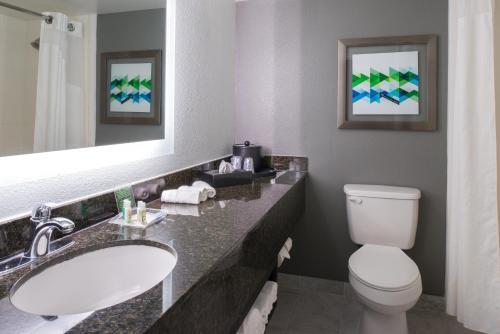 博蒙特博蒙特广场I-10号和瓦尔登假日酒店的一间带水槽、卫生间和镜子的浴室