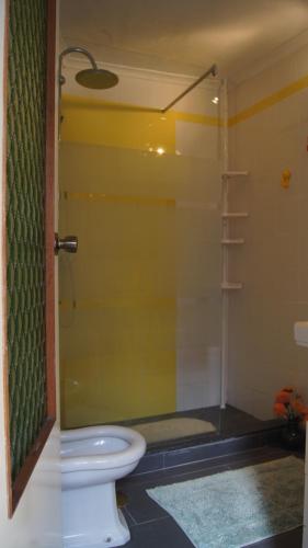 辛特拉Family house Adraga的浴室配有淋浴和卫生间。