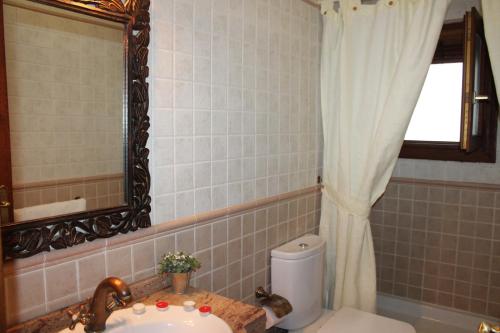 卡皮雷拉Apartamentos Rurales Rosendo: La Albahaca的一间带水槽、卫生间和镜子的浴室