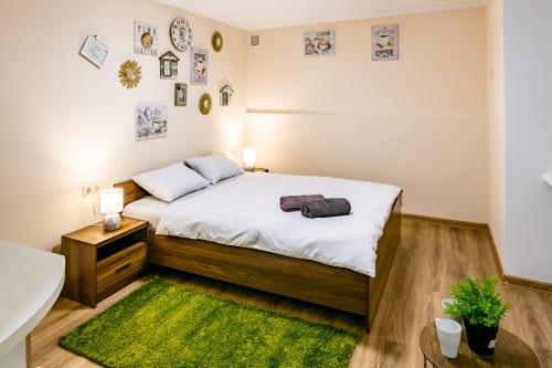利沃夫Romari Rynok Square 3的一间卧室配有一张带白色床单和绿色地毯的床。
