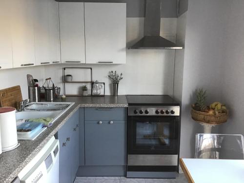 尼斯Les Grands Cedres的厨房配有白色橱柜和炉灶烤箱。