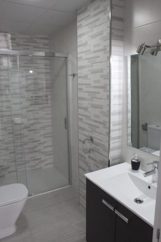 马拉加Apartamentos Margo 2的带淋浴、卫生间和盥洗盆的浴室