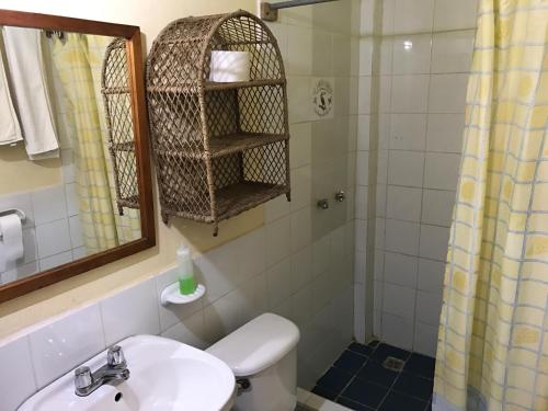 特纳Jungle Lodge El Jardin Aleman的一间带水槽、卫生间和淋浴的浴室