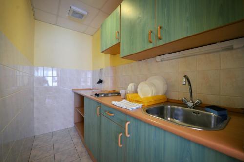诺茨瓦约Panorama Hotel Noszvaj的厨房配有绿色橱柜和水槽