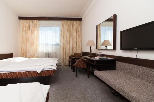 尼萨河畔亚布洛内茨莫库尔酒店 - 尼斯河畔亚布洛内茨的酒店客房配有一张床、一张书桌和一台电视。