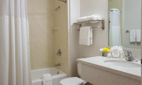 伯班克野生动物园海岸酒店的一间带水槽、卫生间和淋浴的浴室