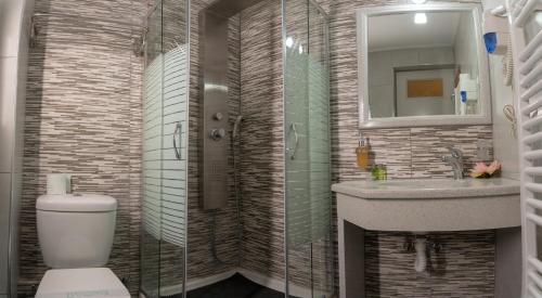 米蒂利尼阿卡利迪酒店的一间带卫生间、水槽和镜子的浴室