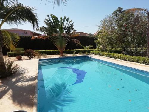 索蒙Villa Maria的棕榈树庭院中的游泳池