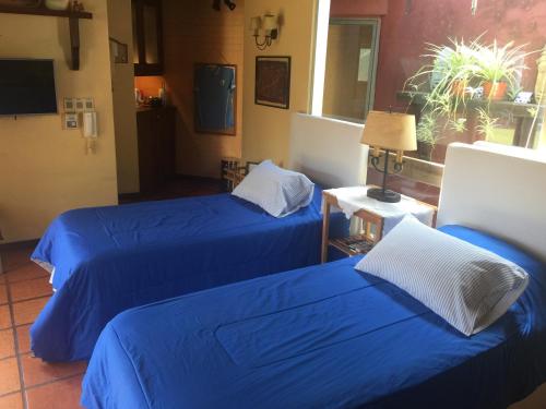 蒙得维的亚Bungalow in Our Garden的两张位于酒店客房的床,配有蓝色床单