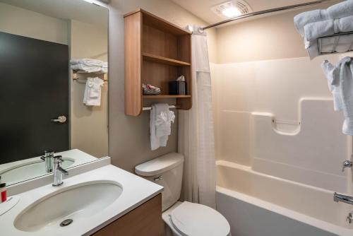 卡莱尔Microtel Inn & Suites by Wyndham Carlisle的一间带水槽、卫生间和淋浴的浴室