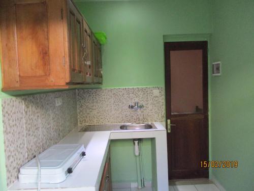 迭戈苏瓦雷斯Residence Kathyly的厨房设有绿色的墙壁和水槽