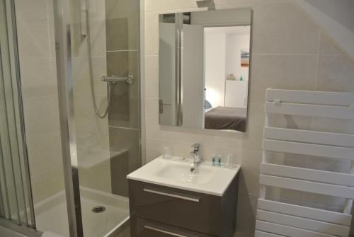 圣茹昂代盖雷特Au Logis De La Rance Bed and Breakfast的带淋浴、盥洗盆和镜子的浴室