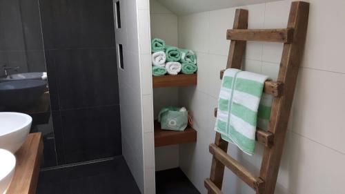 KlimmenBoave ut Wirkes的浴室设有淋浴旁的毛巾架