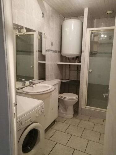 阿斯帕朗Charmant logement proche mer et montagne的浴室配有卫生间水槽和洗衣机。