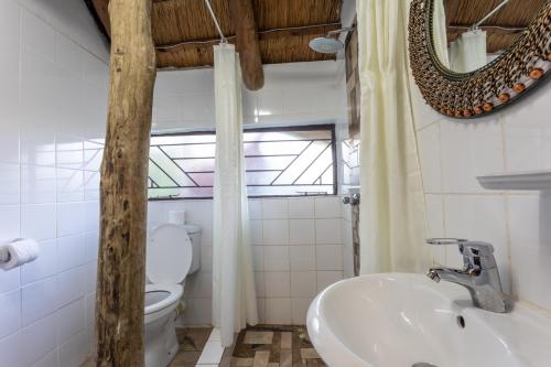 利文斯顿Ngoma Zanga Lodge的一间带水槽、卫生间和镜子的浴室