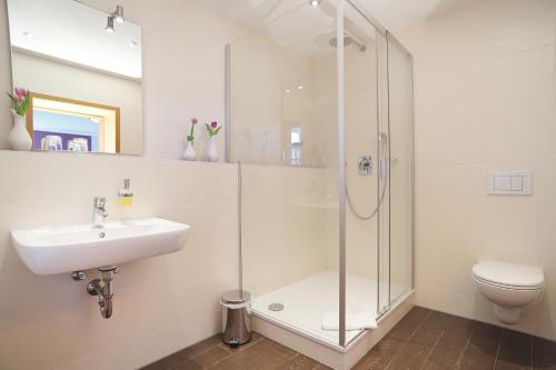 莫星宁丹蒙维特酒店的带淋浴、盥洗盆和卫生间的浴室