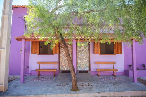 瓦尔任博尼塔Canto do Rio Pousada的紫色的建筑,在树前有两长椅