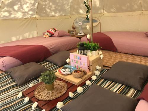 新加坡Glamping Kaki - Large Bell Tent的一间设有两张床和一张植物桌子的房间