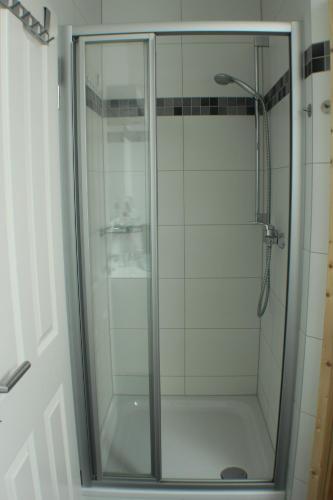 文迪施里茨5*Ferienwohnung Seeblick 4的浴室里设有玻璃门淋浴