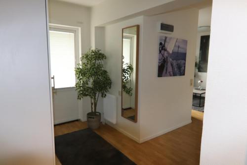 卡尔斯港Studio Apartment的走廊上设有镜子和盆栽