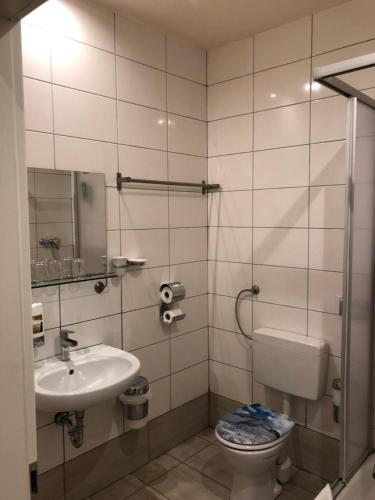 拜罗伊特波塞冬酒店的一间带卫生间和水槽的浴室