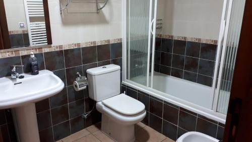 奥里韦拉德尔特雷梅达尔Casa Tere的浴室配有卫生间、盥洗盆和淋浴。