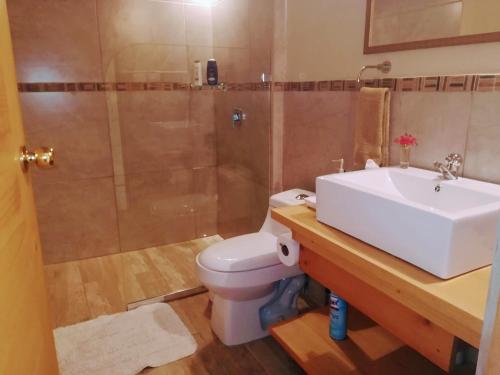 阿拉胡埃拉Hotel Pibi Boreal的浴室配有卫生间、盥洗盆和淋浴。