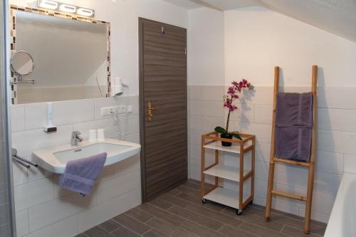 米滕瓦尔德Pension Bavaria的一间带水槽和镜子的浴室