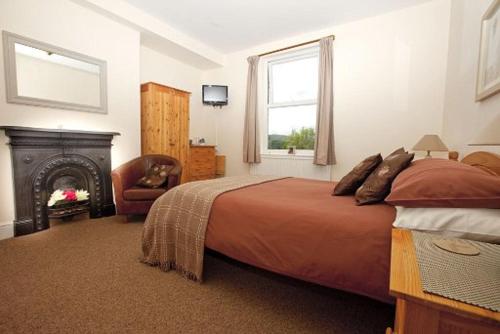 勒德洛The Mount Guest House的一间卧室设有一张大床和一个壁炉