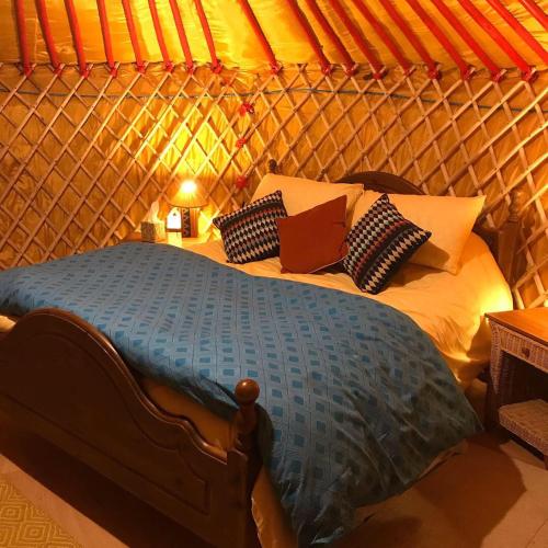 McClure Yurt at Carrigeen Glamping