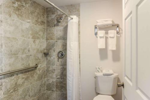 米尔福德Rodeway Inn的一间带卫生间和淋浴的浴室