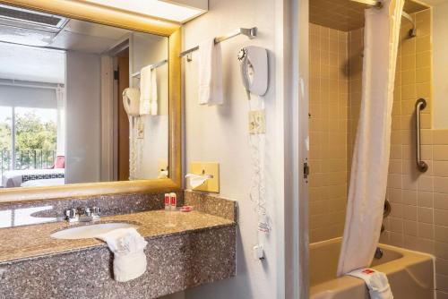 温特黑文Econo Lodge Winter Haven Chain of Lakes的一间带水槽、镜子和淋浴的浴室