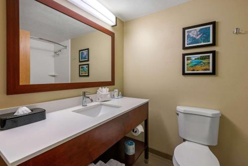 奥卡拉Comfort Inn Ocala Silver Springs的一间带水槽、卫生间和镜子的浴室