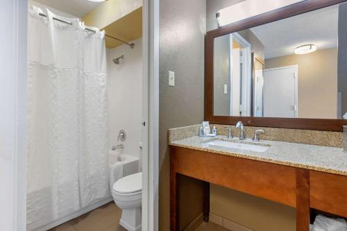 孟菲斯Comfort Inn Memphis Downtown的相册照片