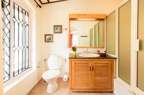 乔奥诺奥尔Teanest by Nature Resorts的一间带卫生间、水槽和镜子的浴室