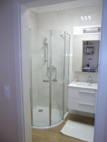 赫维兹Ametiszt Apartman的带淋浴和盥洗盆的浴室