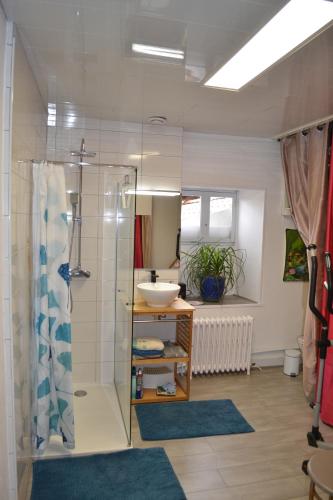 studio indépendant dans maison à la campagne的一间浴室