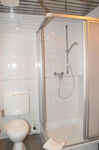 艾珀伯恩加尔尼中央酒店的浴室配有白色卫生间和淋浴。