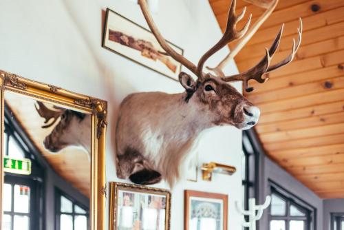 莫斯费德斯拜尔兰克斯酒店的挂在墙上的大鹿头