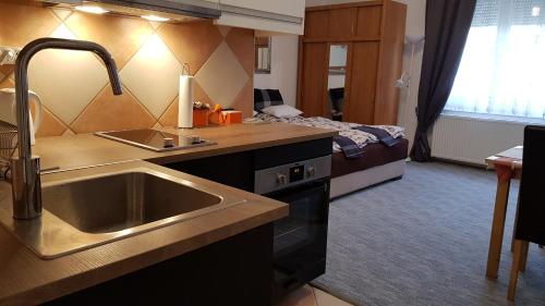 塞克萨德ÁRPÁD Apartman的一个带水槽的厨房和一张位于客房内的床