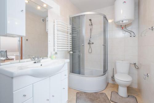 达布基阿斯托利亚酒店的一间带水槽、卫生间和淋浴的浴室