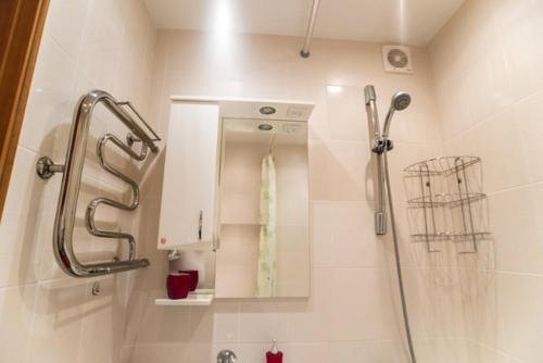 卡缅斯科耶Квартира的带淋浴和盥洗盆的浴室